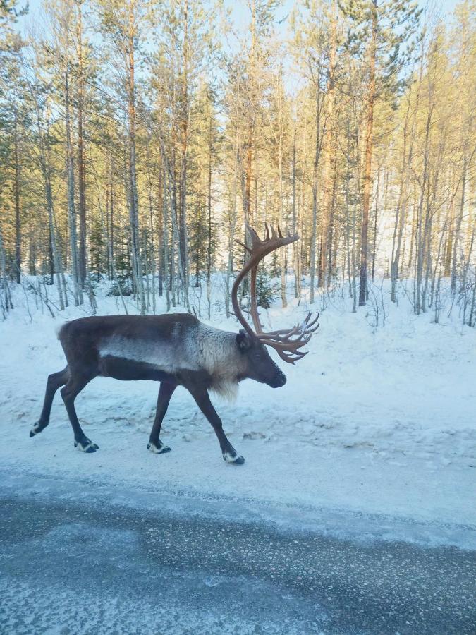 Yllaes Kanerva 105 Екясломполо Екстер'єр фото